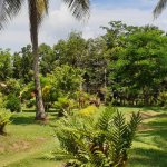 land-house-sale-south-east-koh-chang-view-forward-5