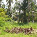 land-house-sale-south-east-koh-chang-view-rear-3