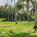 land-house-sale-south-east-koh-chang-view-side-5