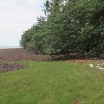 seafront-land-sale-east-coast-3-rai-koh-chang-1