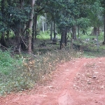 seafront-land-sale-east-coast-3-rai-koh-chang-11