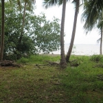 seafront-land-sale-east-coast-3-rai-koh-chang-8