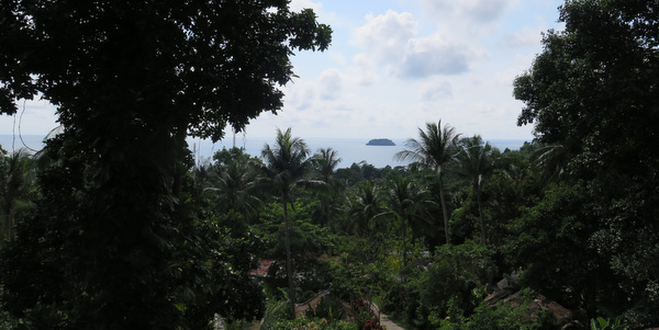 view from oasis bungalows