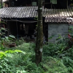 shop-rooms-sale-west-coast-koh-chang-1-5