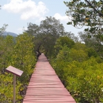 salak-phet-mangroves-walkway-red-bridge-baan-na-nai-koh-chang-1