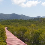 salak-phet-mangroves-walkway-red-bridge-baan-na-nai-koh-chang-2