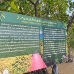 salak-phet-mangroves-walkway-red-bridge-baan-na-nai-koh-chang-4