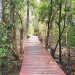 salak-phet-mangroves-walkway-red-bridge-baan-na-nai-koh-chang-6