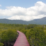 salak-phet-mangroves-walkway-red-bridge-baan-na-nai-koh-chang-7