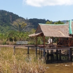 salak-phet-mangroves-walkway-red-bridge-baan-na-nai-koh-chang-9