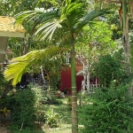 resort-bungalows-rooms-bar-sale-koh-chang-3-16