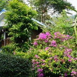 restaurant-bar-rooms-sale-koh-chang-room