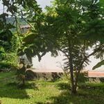 restaurant-bungalows-for-development-koh-chang-2-1