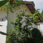 restaurant-bungalows-for-development-koh-chang-2-3