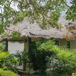 1_deluxe-bungalow-serenity-resort-4