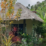 deluxe-bungalow-serenity-resort-3