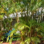 small-resort-koh-chang-west-coast-sale-7