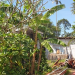 small-resort-koh-chang-west-coast-sale-9