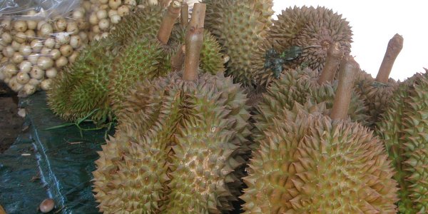 Koh-Chang-Weather-Hot-Season-Thai-Fruit