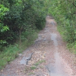 wai-chek-beach-koh-chang-road