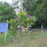 wai-chek-beach-koh-chang-road