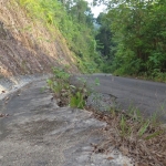 wai-chek-beach-koh-chang-road
