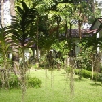 west-coast-resort-5-bungalows-sale-koh-chang-3