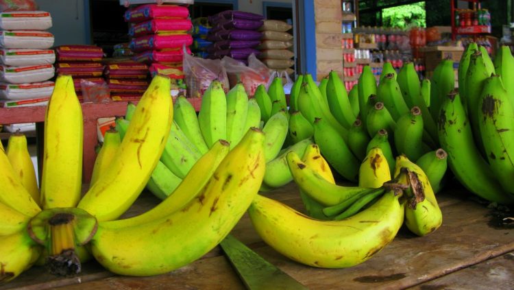 thai bananas koh chang