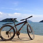 bicycle by sea chek bae