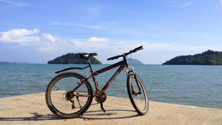 bicycle by sea chek bae