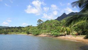 view back at Pearl Beach