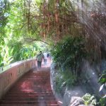 wat saket stairs golden mount