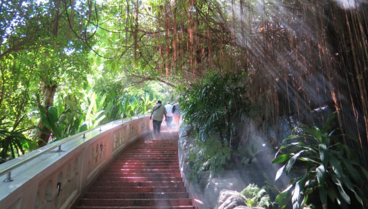 wat saket stairs golden mount