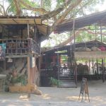 front restaurant bar sale west coast koh chang