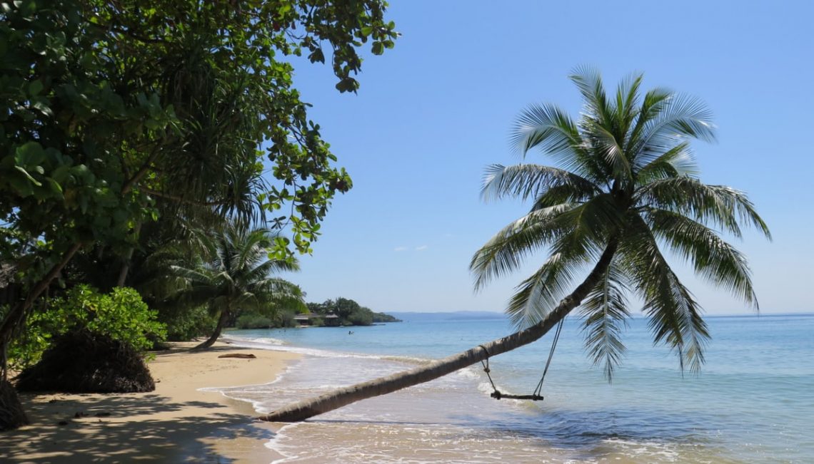 sea, beach ao kao coconut tree