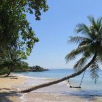 sea, beach ao kao coconut tree